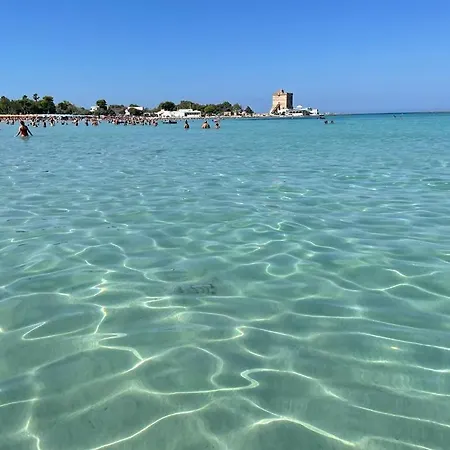Salento Sant Isidoro *